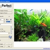 PhotoPerfect DigiCam