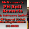 PitBull Breeders