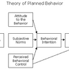Planned Behaviour (MEGA)