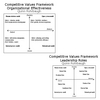 Quinn Effective Organizations (MEGA)