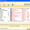RD Digital Image Recovery