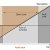 Real Options (MBA)