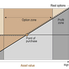 Real Options (MEGA)