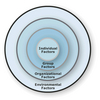 Risk Domains Software