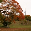 Scenic Autumn Screensaver