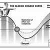 Schneiders Change Curve Software
