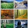 Seasonal Changes Screensaver