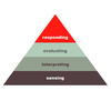SIER Heirarchy (MBA)