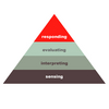SIER Heirarchy Software (Advanced)