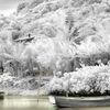 Snow Screensaver