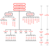 Structure Follows Strategy Software