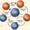 System Dynamics Software