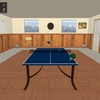 Table Tennis Pro