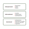 Ten Manager Roles (MBA)