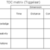 Tiggelaar Matrix (MBA)