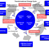 Transformation Change Cycle Software
