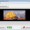 Video Logo Remover