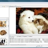 Web Image Collector 2013