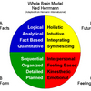 Whole Brain Model (MEGA)