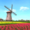 Windmill 3D Screensaver