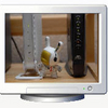 wireless networking