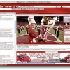 Wisconsin Badgers IE Browser Theme